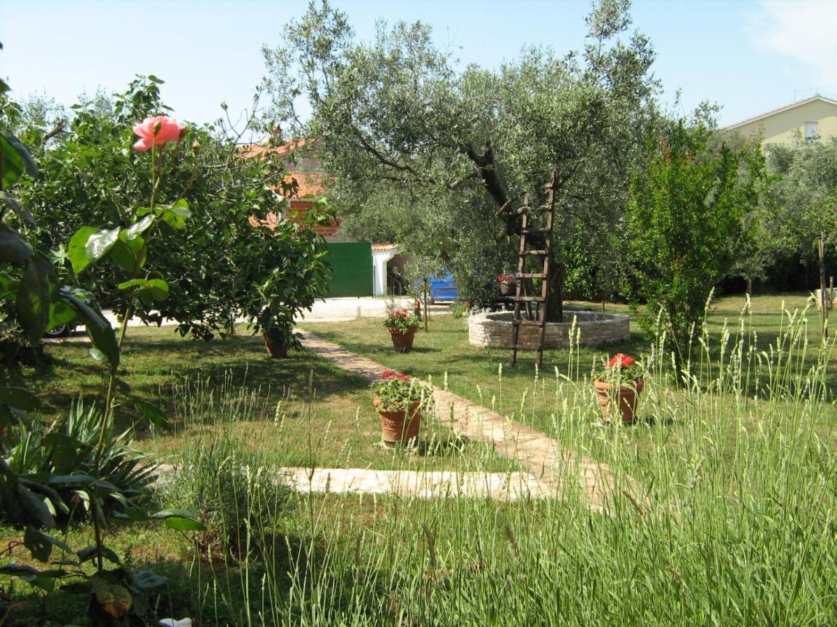 Apartmani Mirjana Umag Exterior photo